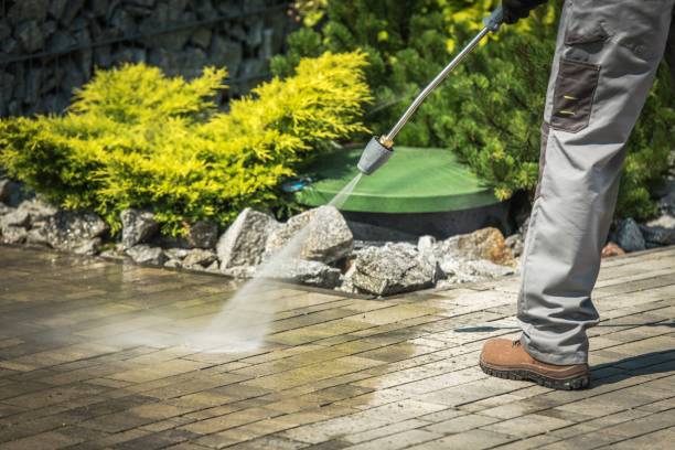 Best Gutter Cleaning  in Hopewell, TN